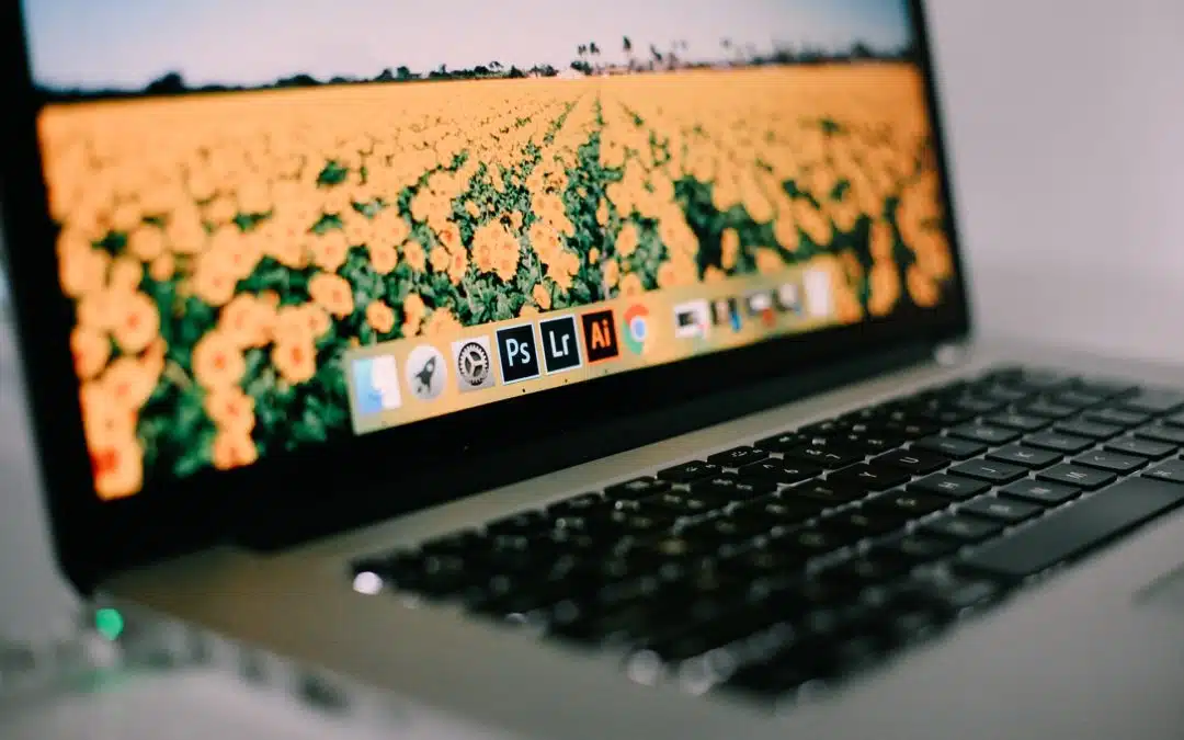 mikaela shannon clNNqsw unsplash