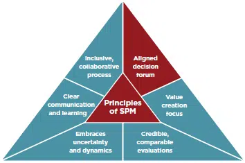 vp principles of spm