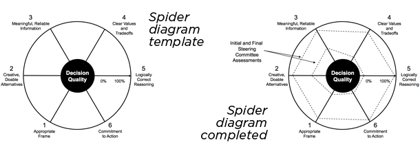 spider diagrams