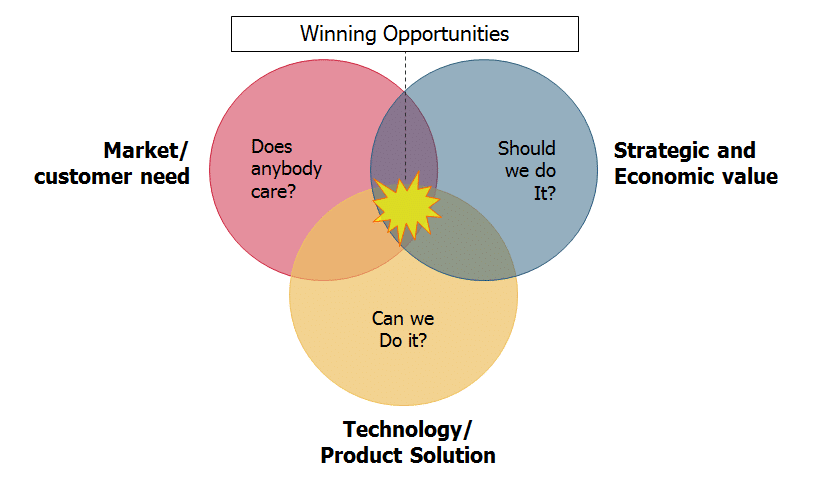 The work of innovation-Winning Opportunities, 3 critical questions: Does anybody care? Should we do it? Can we do it?