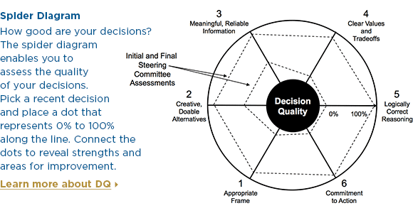 Spider diagram. The spider diagram enables you to assess the quality of your decisions.