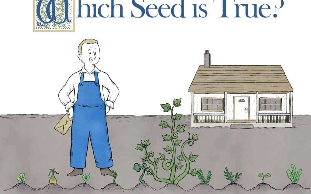 How will you nurture your innovation garden?