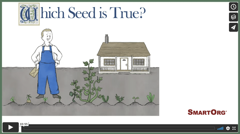 Which seed is true video image 