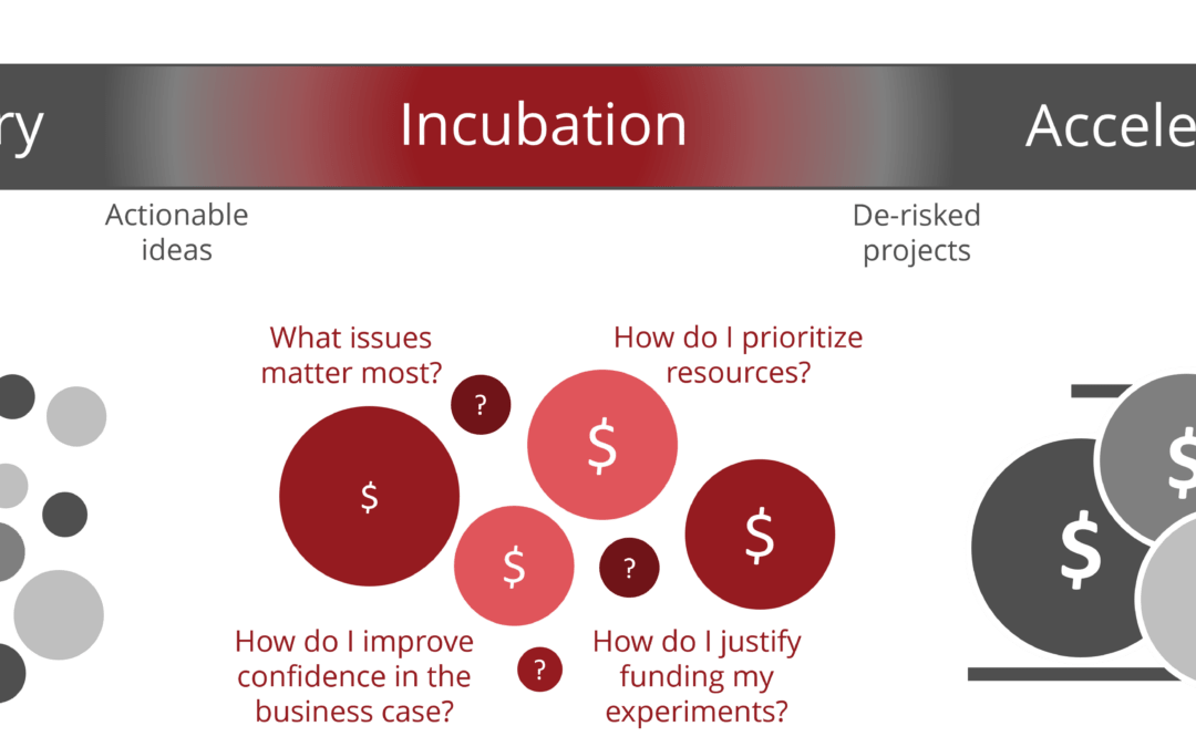 Typical Innovation Process: Discovery, Incubation, Acceleration