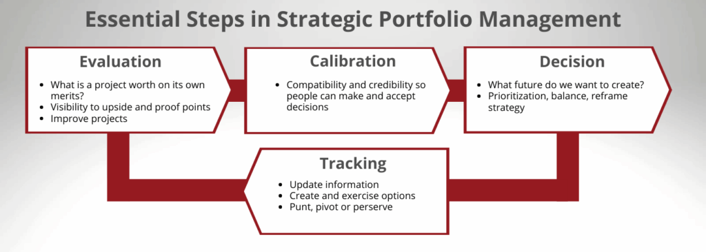 SPM Process diagram, Strategic Portfolio Management Process diagram