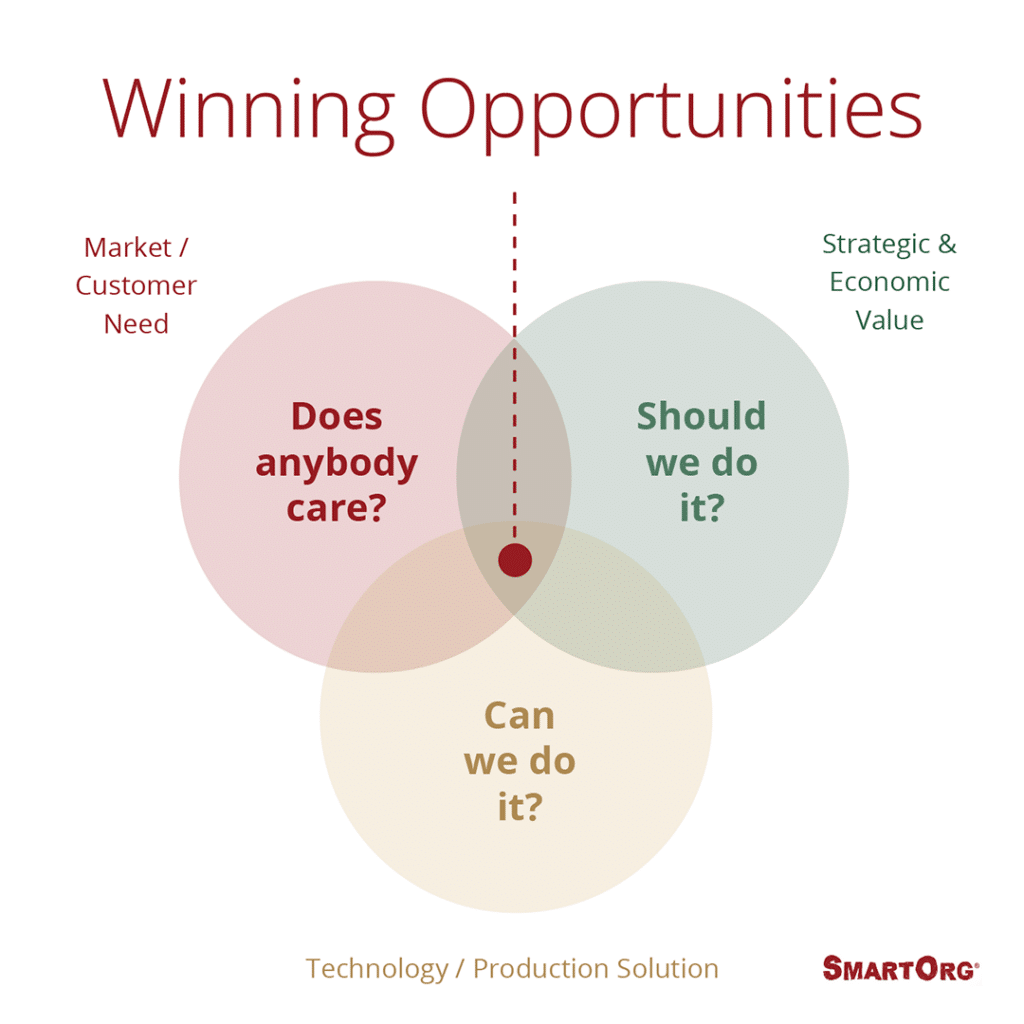 Chart: Winning Opportunities, Venn diagram, Does anybody care? Should we do it? Can we do it?