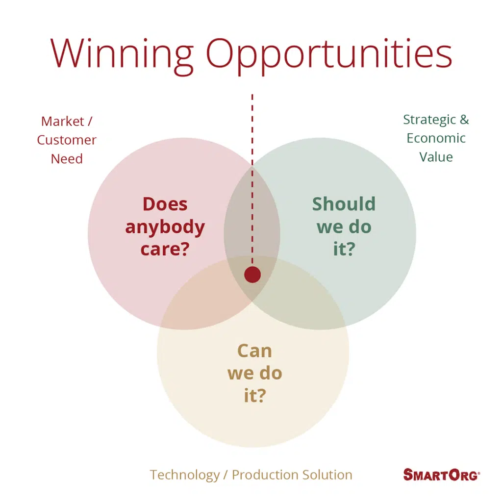Chart: Winning Opportunities, Venn diagram, Does anybody care? Should we do it? Can we do it?
